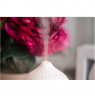 Camry Ultrasonic aroma diffuser 3in1 CR 7970 Ultrasonic, Suitable for rooms up to 25 m², White