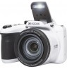 Kodak AZ405 White