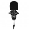 STUDIO AND STREAMING MICROPHONE MT397K