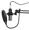 STUDIO AND STREAMING MICROPHONE MT397S