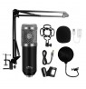 STUDIO AND STREAMING MICROPHONE MT397S