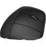 HP 920 Ergonomic Wireless Mouse