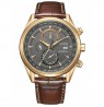 Citizen Eco-Drive Radio Controlled AT8263-10H