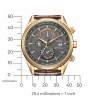 Citizen Eco-Drive Radio Controlled AT8263-10H