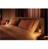 Philips Hue WA 7W Filament G93 EUR E27