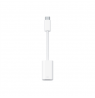 Apple | USB-C to Lightning Adapter | USB-C | Adapter