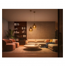 Philips Hue WA Starter Kit 8W A60 E27 3pcs, Bridge, Switch