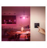 Philips Hue Tap dial switch black