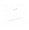 Philips Hue Ensis pendant white 2x39W 24V
