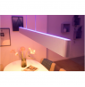 Philips Hue Ensis pendant white 2x39W 24V