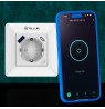 Tellur Smart WiFi Wall Plug 3600W 16A, PD20W, USB 18W, energy reading, white