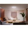 Philips Hue Infuse L ceiling lamp white Philips Hue Infuse L ceiling lamp white 52.5 W White and color ambiance 2000-6500 Blueto