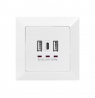 DIGITUS Socket with USB A & USB-C Ports, flush mounted Digitus