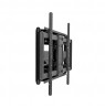 Sbox PLB-7486 (43-100/120kg/800x400)