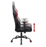 Subsonic Pro Gaming Seat Assassins Creed