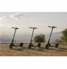 Ninebot by Segway Kickscooter F2 Plus E, Black Segway Kickscooter F2 Plus E Up to 25 km/h 10 " Black