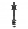 Maclean LCD monitor desk mount, VESA 75x75 and 100x100, 17-32" 9kg, MC-751N