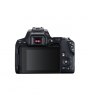 Canon Megapixel 24.1 MP Image stabilizer ISO 256000 Wi-Fi Video recording Manual CMOS Black
